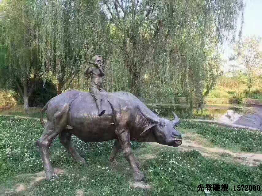 ����䓵����������������